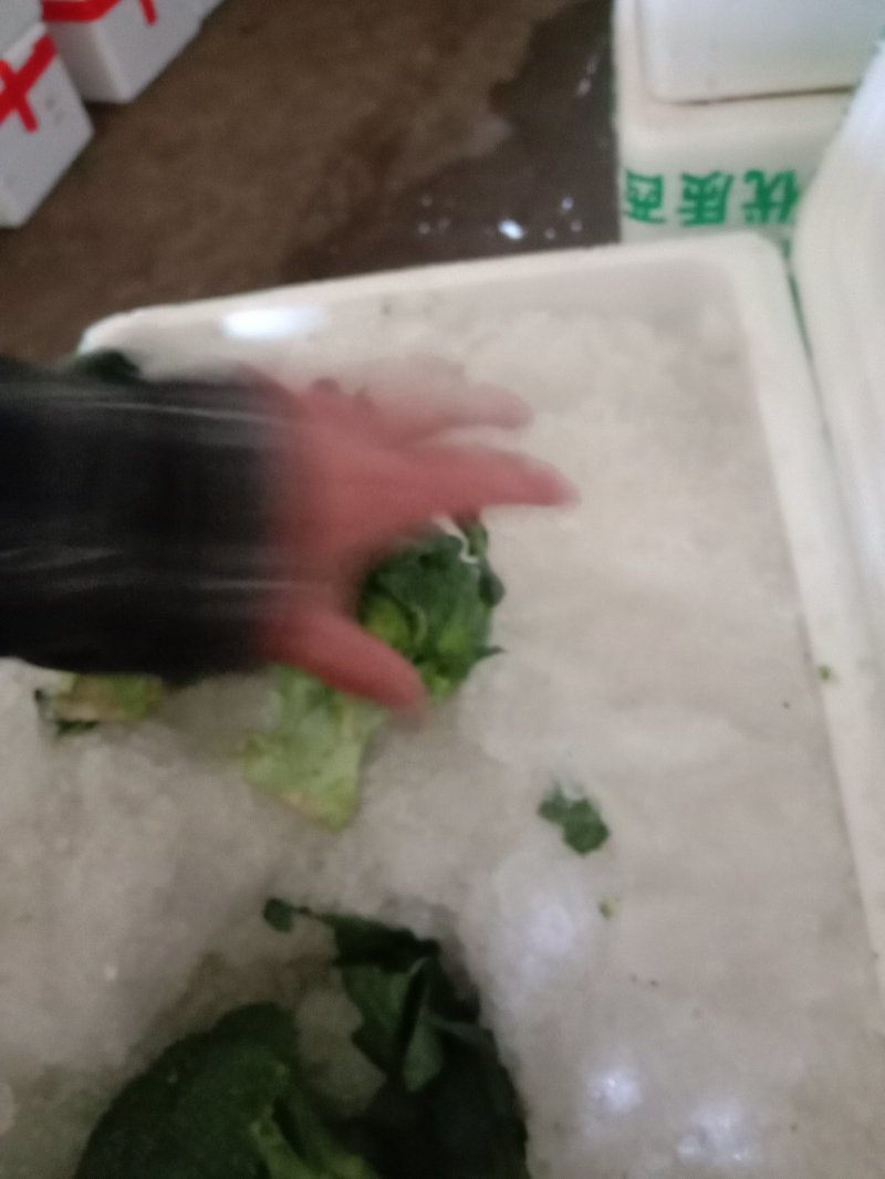 蔬菜