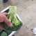 蔬菜