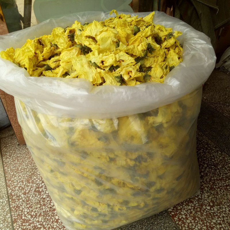 黄蜀葵花黄秋葵花蜀葵花供应上千种中药材