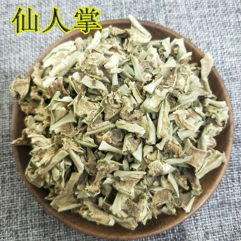 仙人掌龙舌供应上千种中药材
