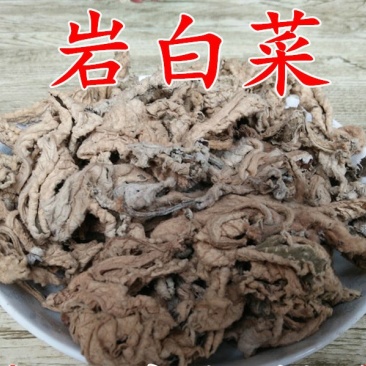 岩白菜红岩七供应上千种中药材