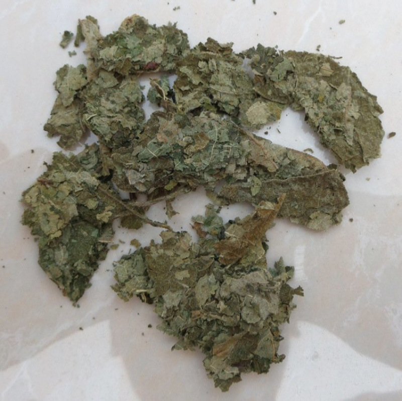 楮桃叶楮树供应上千种中药材批发零售量大从优