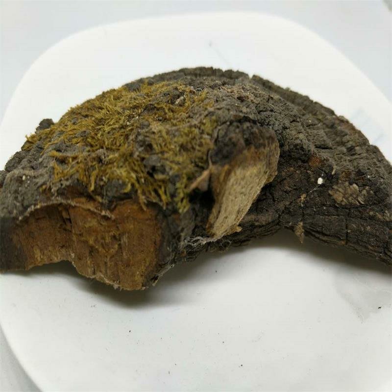 槐蛾槐耳供应上千种中药材