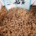 稻芽干品无硫无添加一公斤起包邮