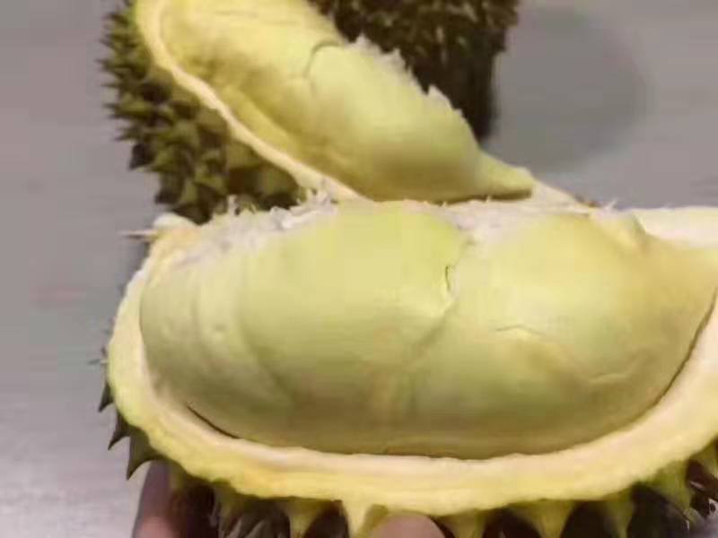 泰国金枕榴莲