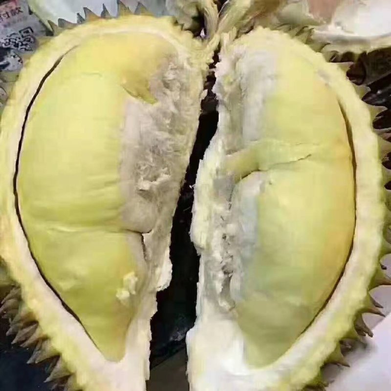 泰国金枕榴莲