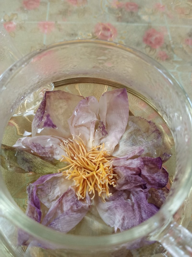 荷花茶整朵干荷花