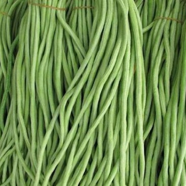 刚豆，长豆角