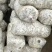 精品平菇菌包大量供货中（大袋规格26×55）
