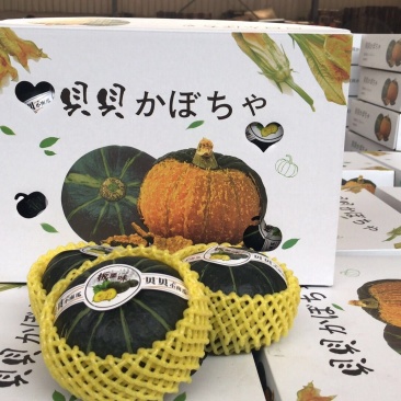 惠和国产贝贝南瓜一件代发礼盒包装国产贝贝南瓜包粉
