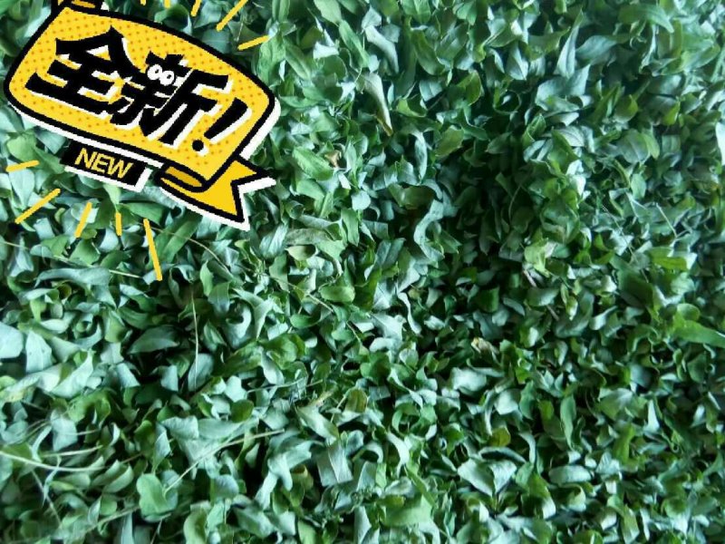 茎叶一起发货15元一斤不包邮