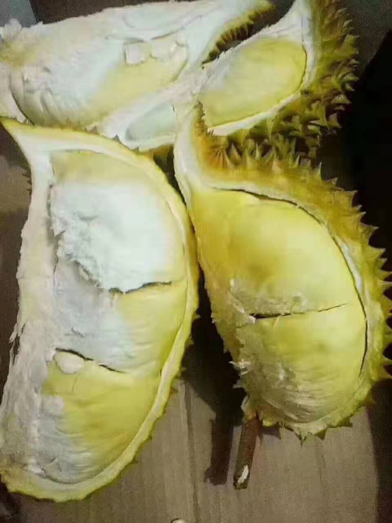 泰国金枕(榴师傅)