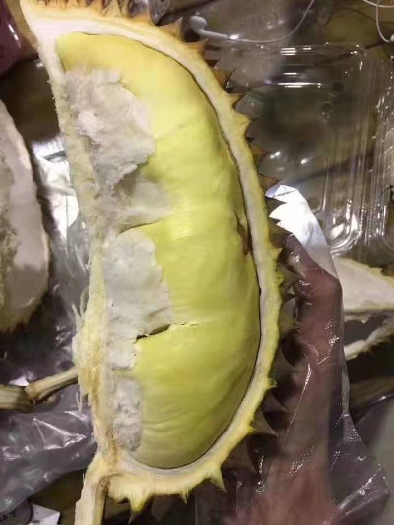 泰国金枕(榴师傅)