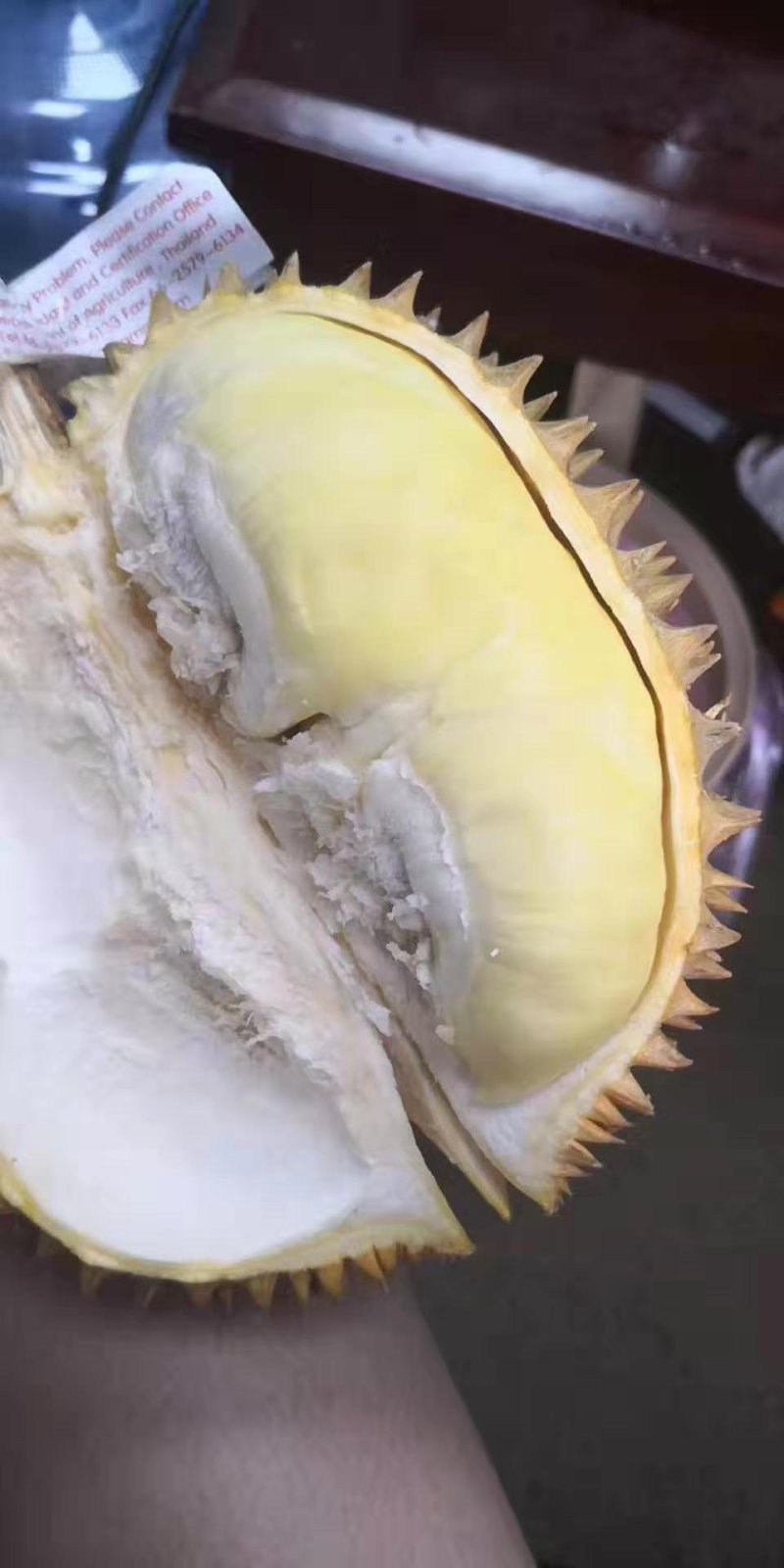 泰国金枕(榴师傅)