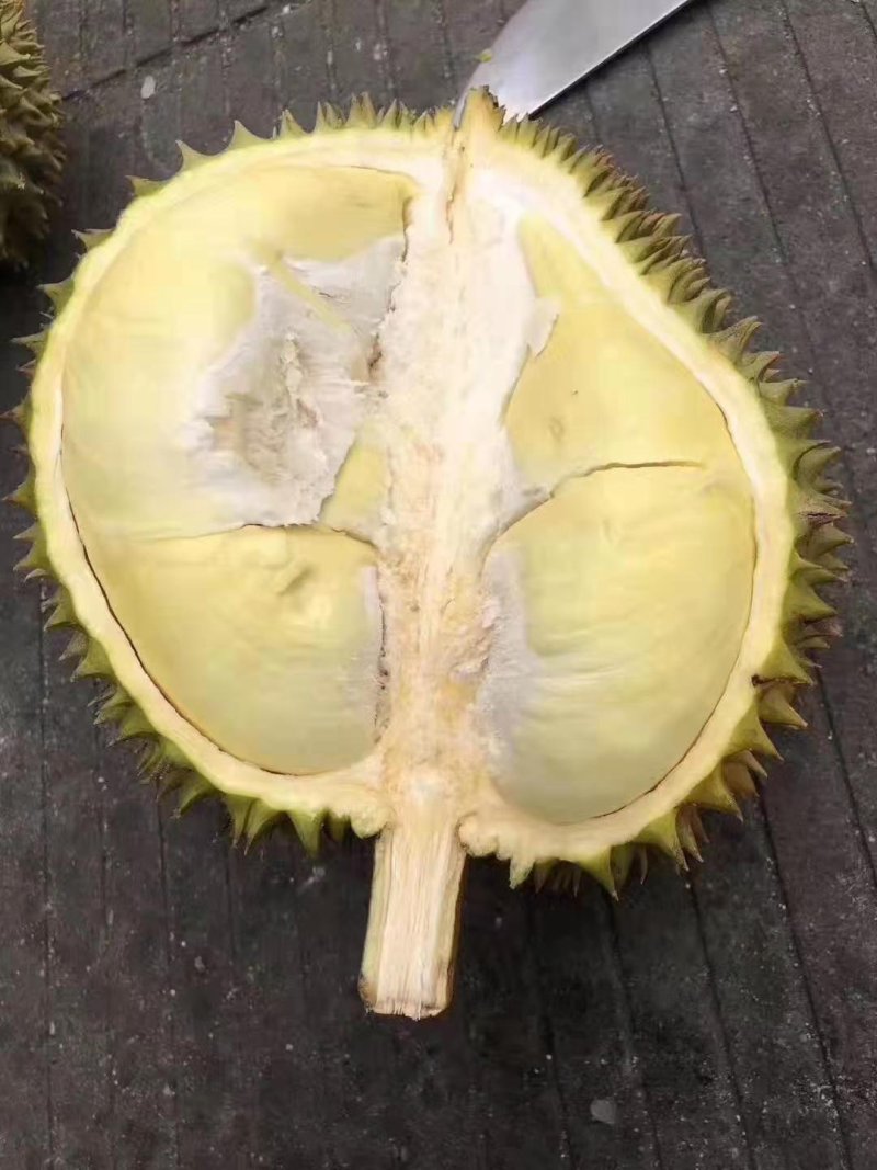 泰国金枕(榴师傅)