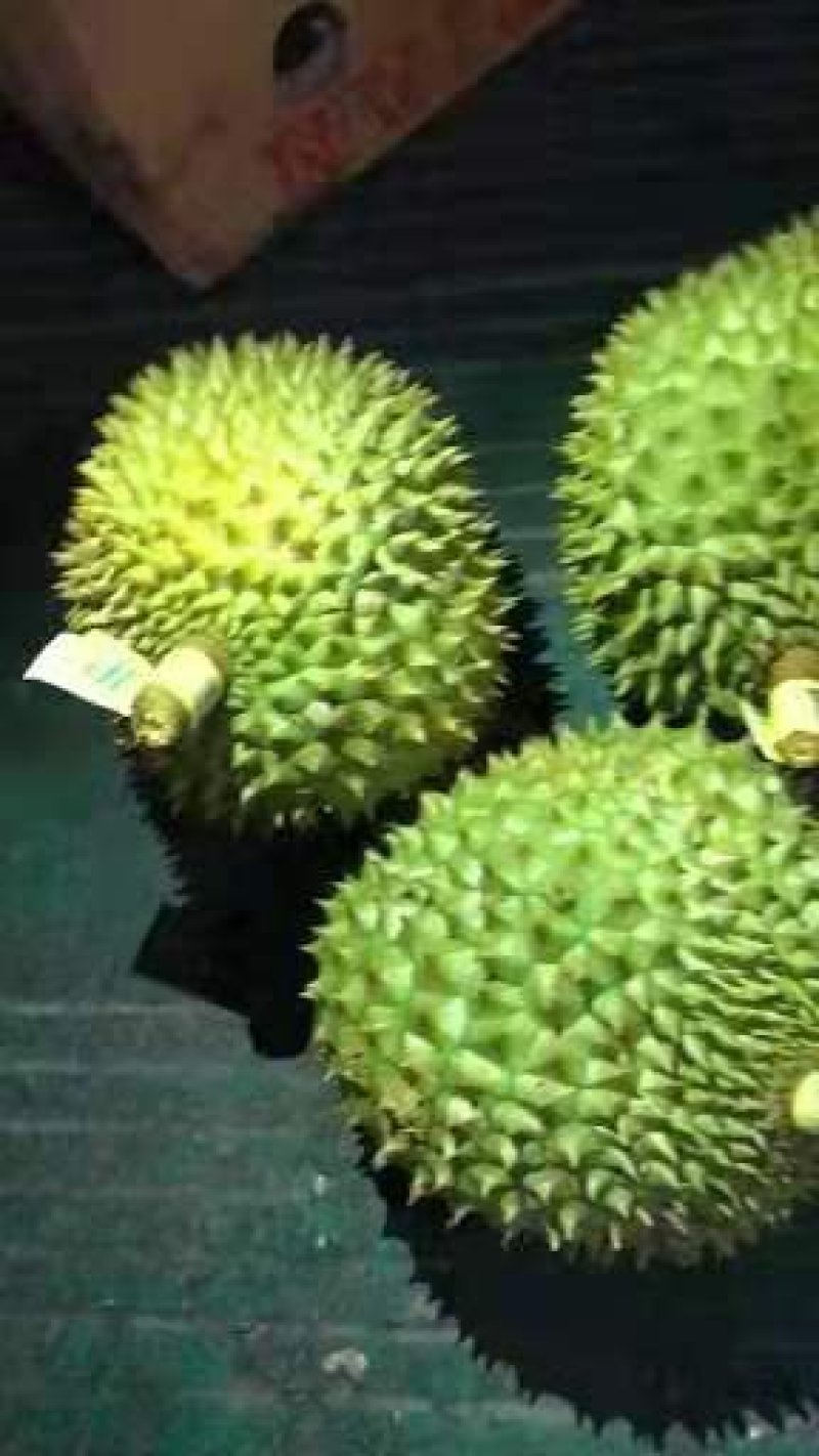 越南干尧榴莲