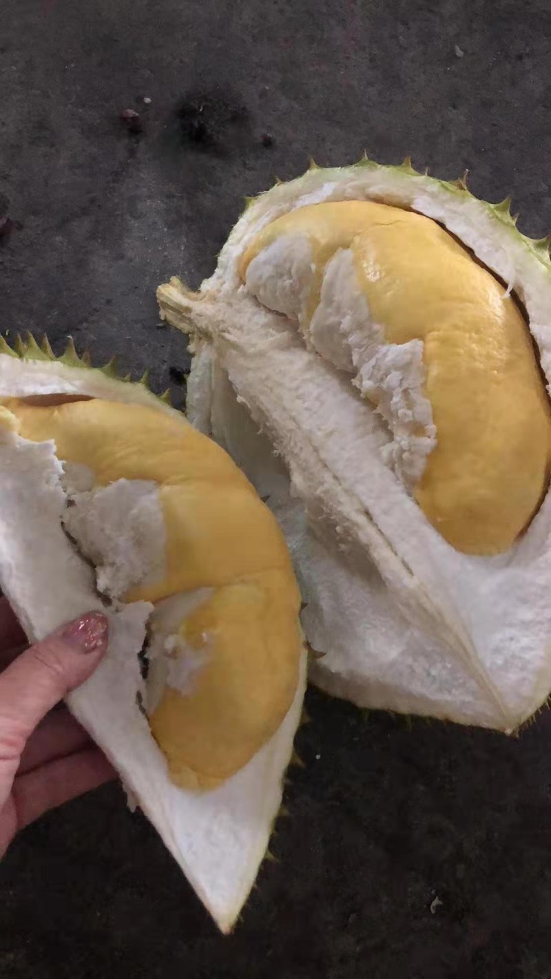 越南干尧榴莲