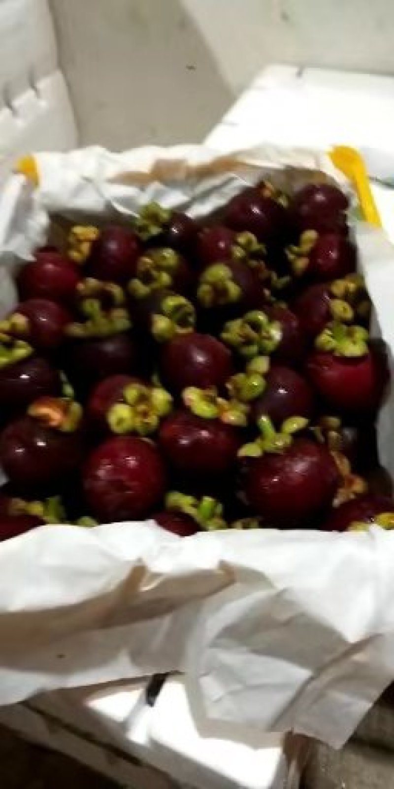 泰国山竹