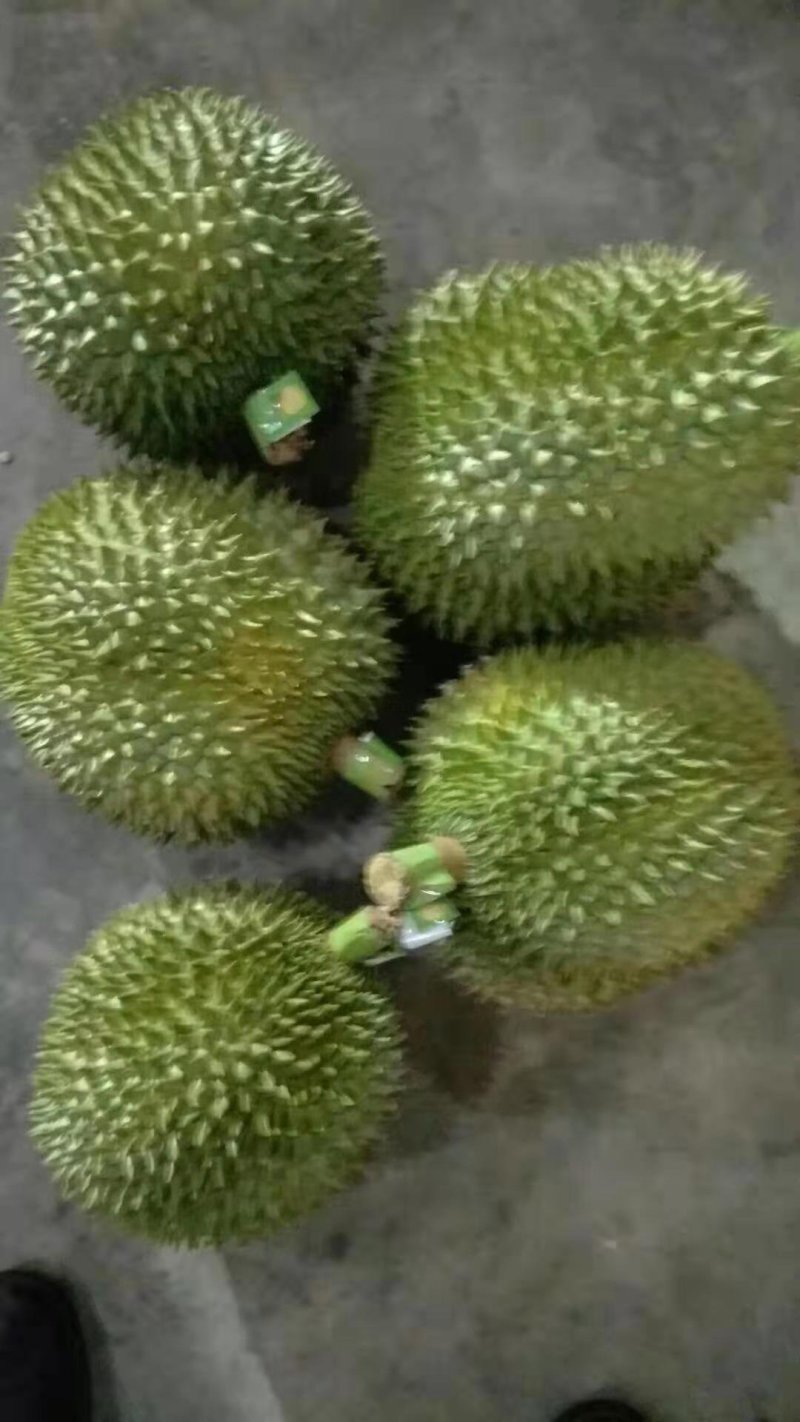 越南干尧榴莲