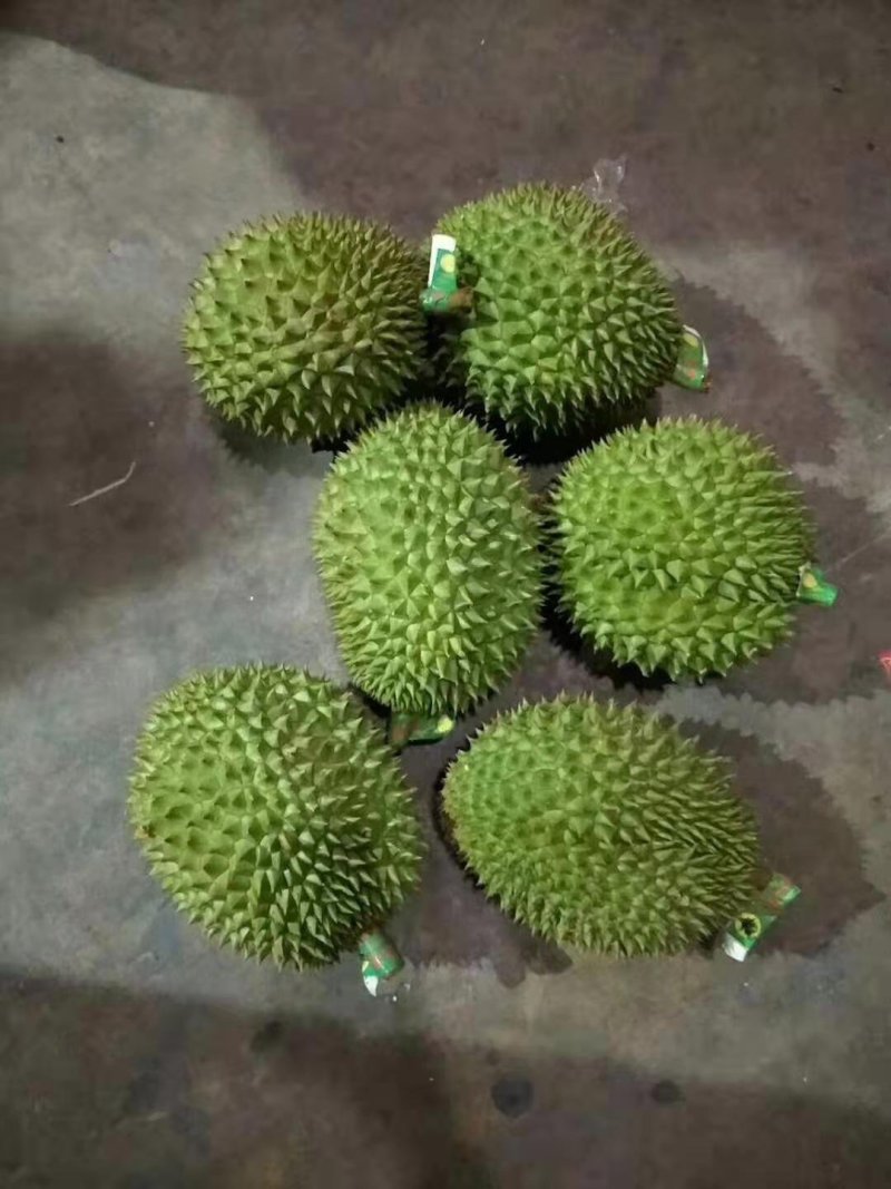 越南干尧榴莲