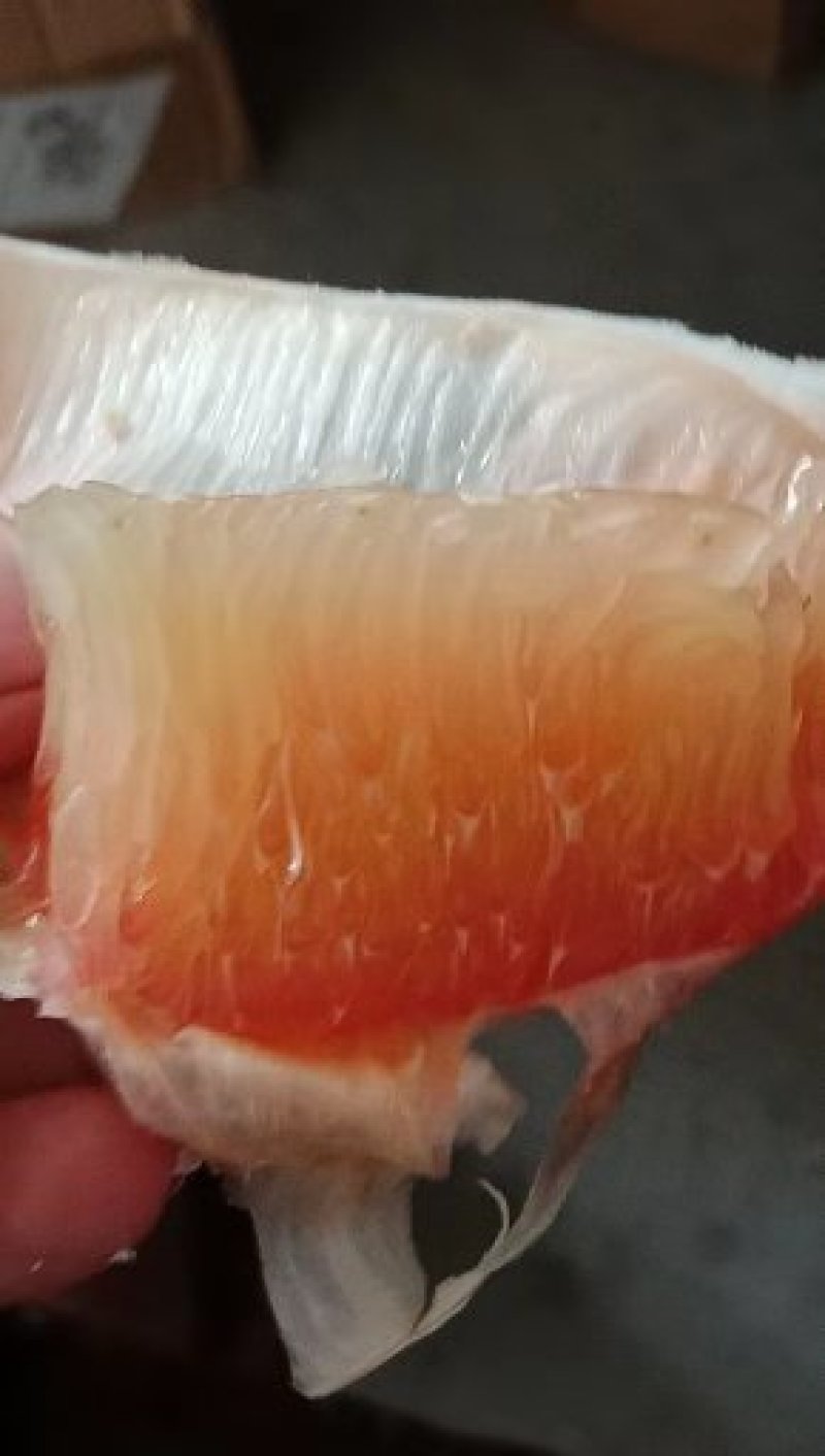 越南红心青柚