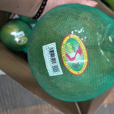 越南红心青柚