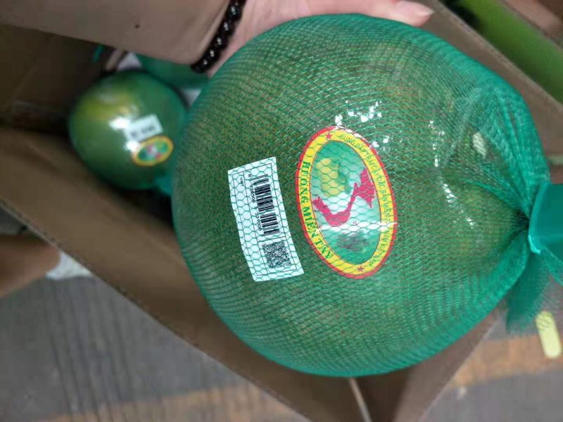 越南红心青柚