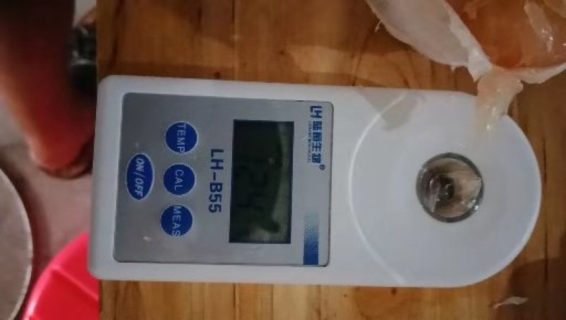 越南红心青柚