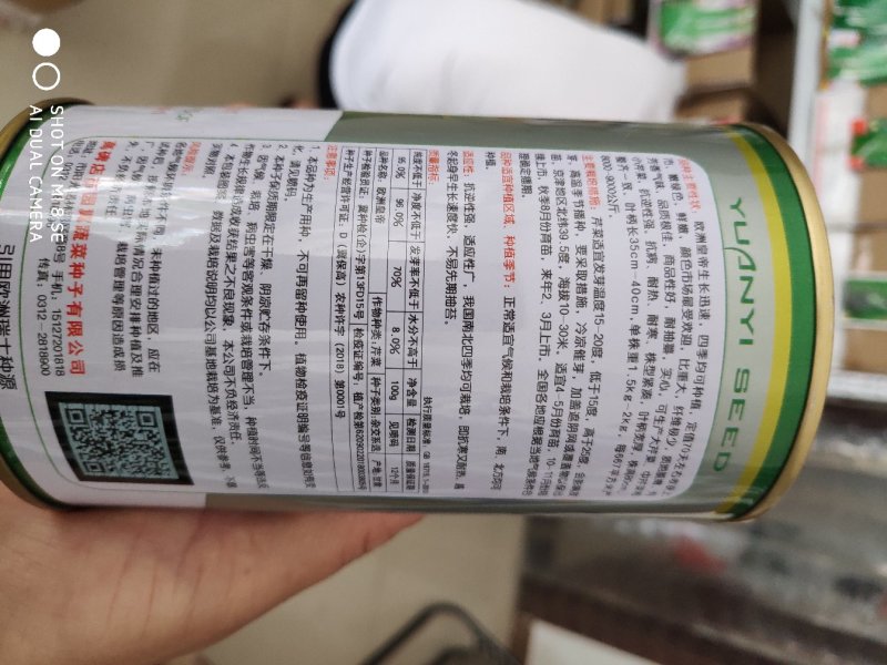 芹菜种子欧洲皇帝西芹芹菜种子