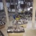 平菇原种