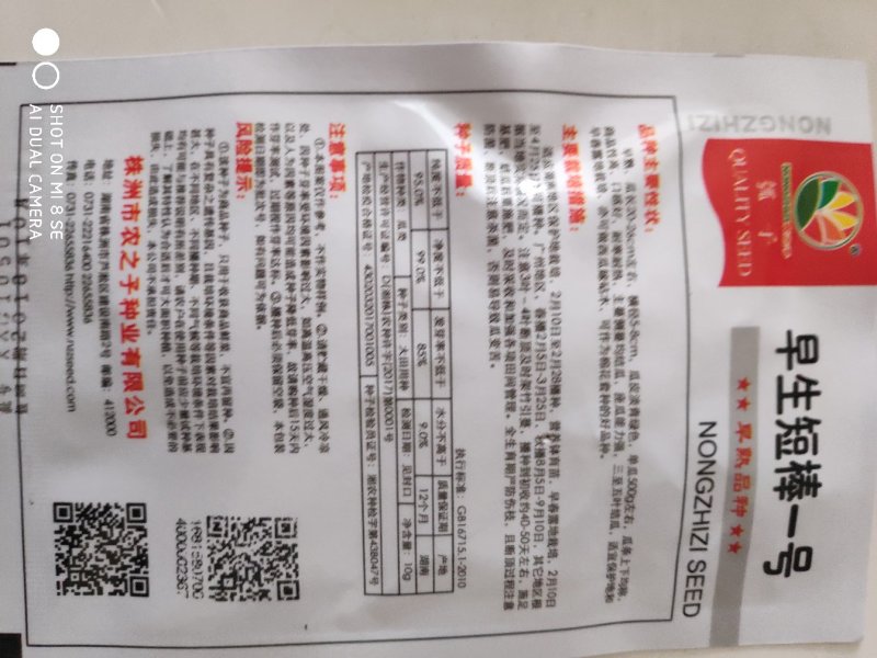 砍瓜种子早生短棒一号瓠瓜种子