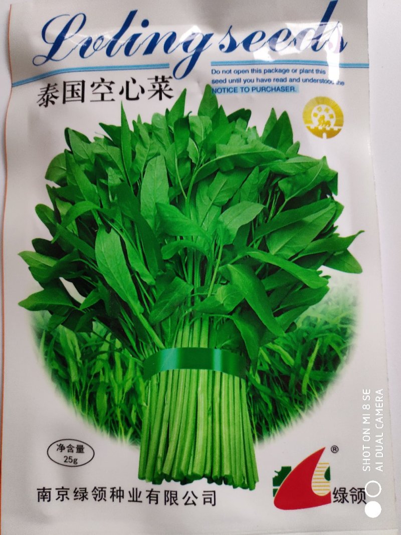 空心菜种子绿领泰国空心菜种子