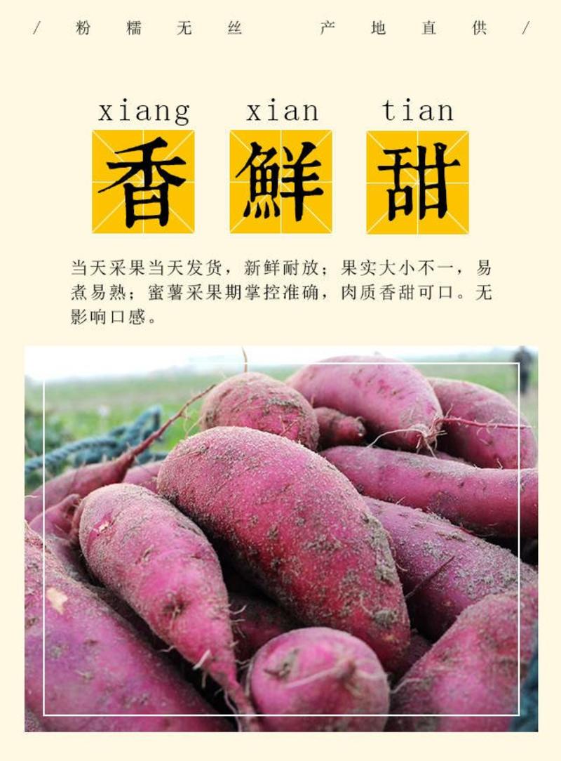 福建漳浦六鳌红薯，西瓜红现挖现发，一手货源货源充足