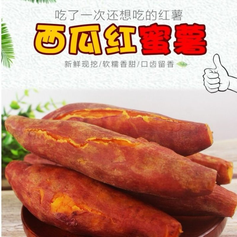 福建漳浦六鳌红薯，西瓜红现挖现发，一手货源货源充足