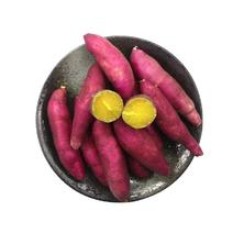 正宗临安天目山小香薯板栗薯10斤红薯新鲜农家蜜薯紫薯地瓜