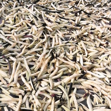 茄子干