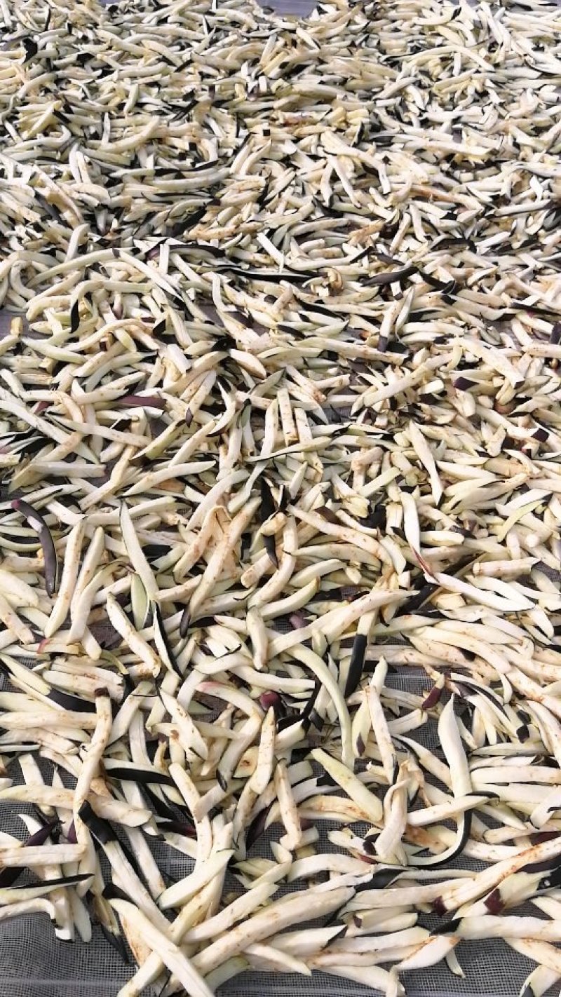 茄子干