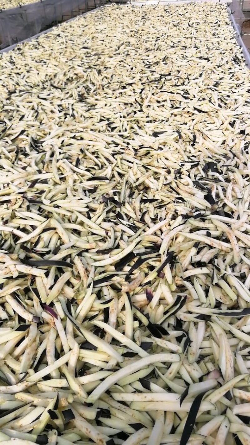 茄子干