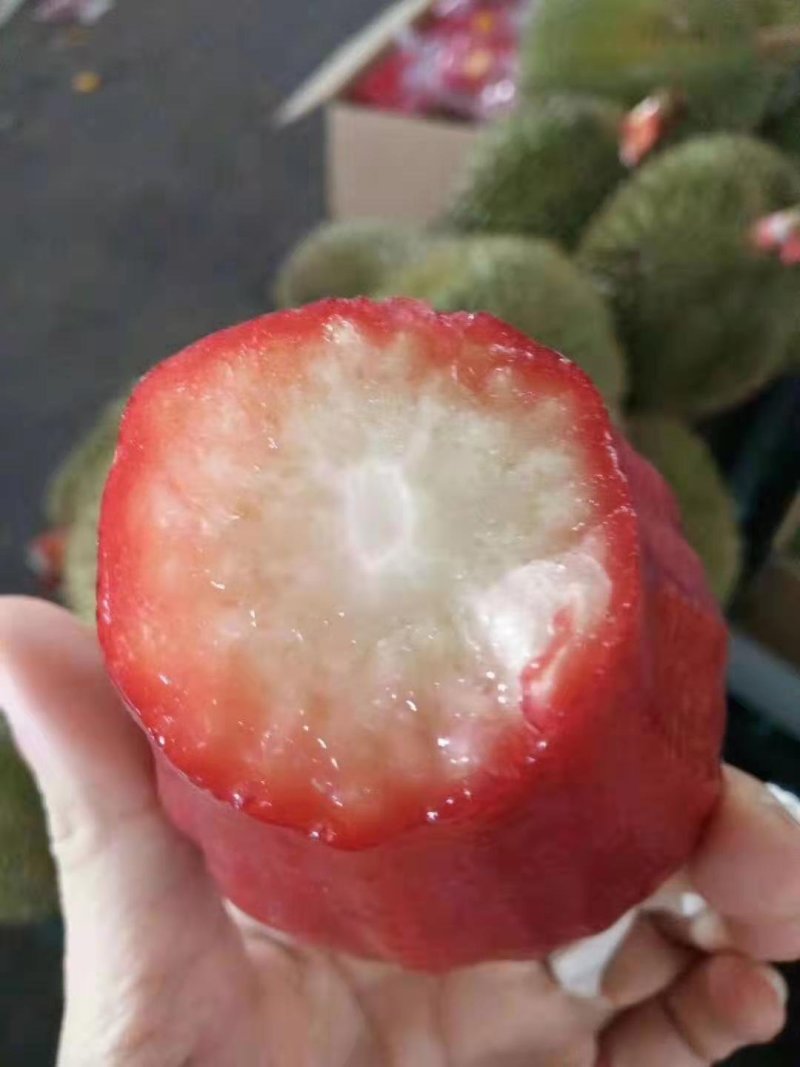 越南黑金刚莲雾
