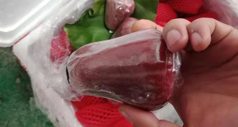 越南黑金刚莲雾