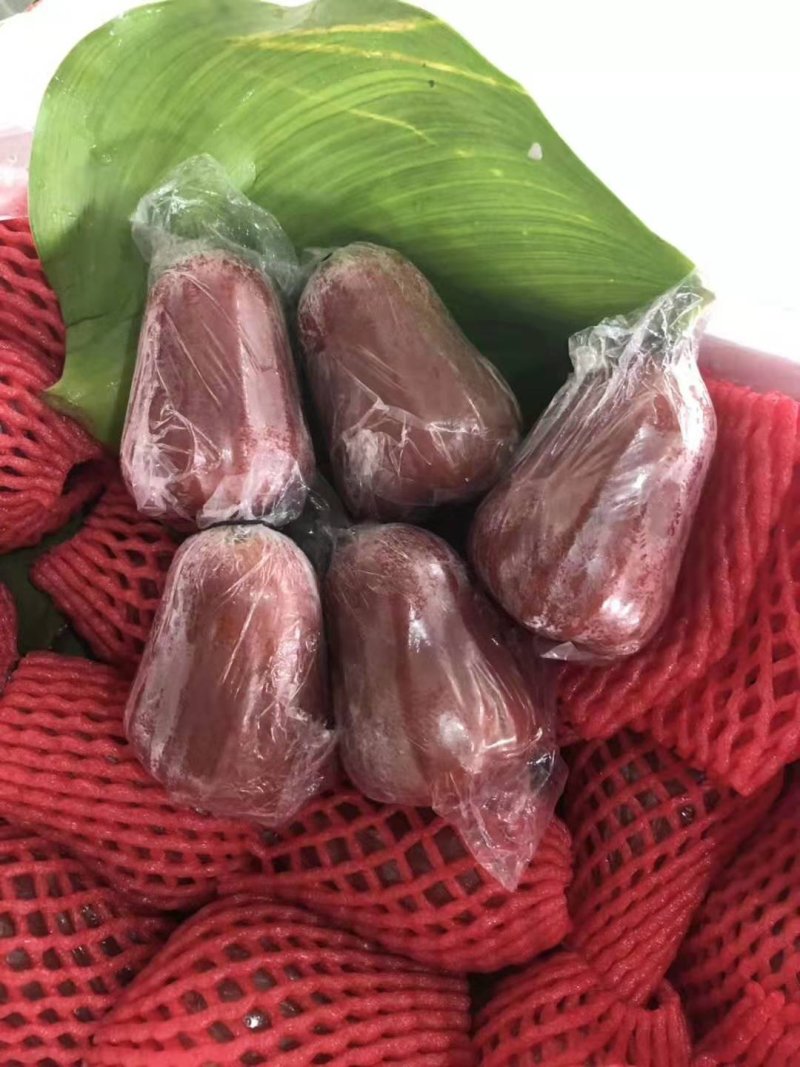 越南黑金刚莲雾