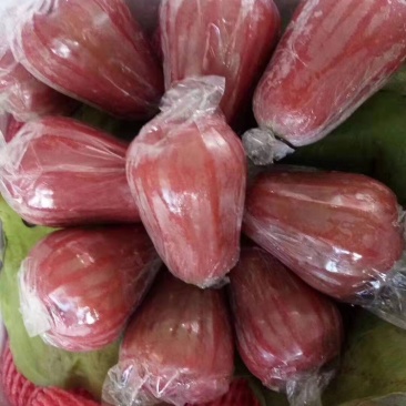 越南黑金刚莲雾