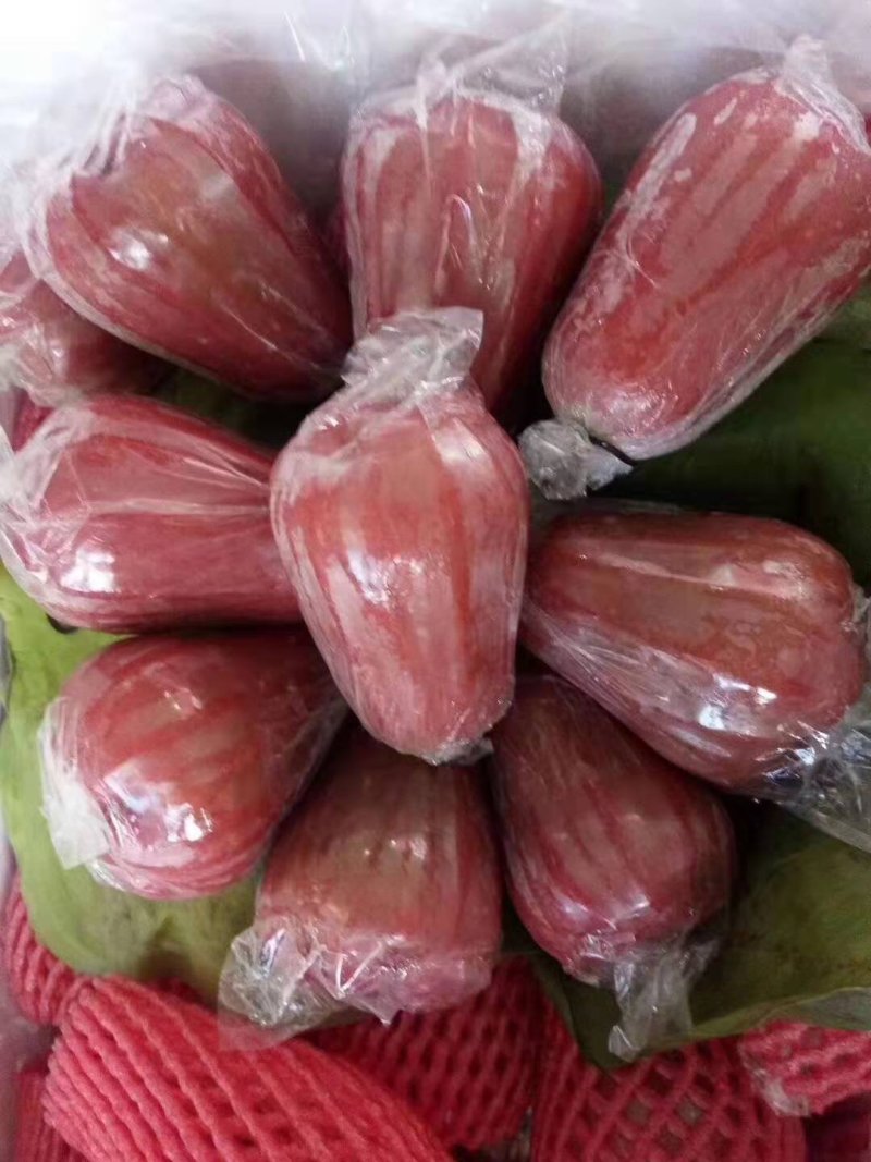 越南黑金刚莲雾