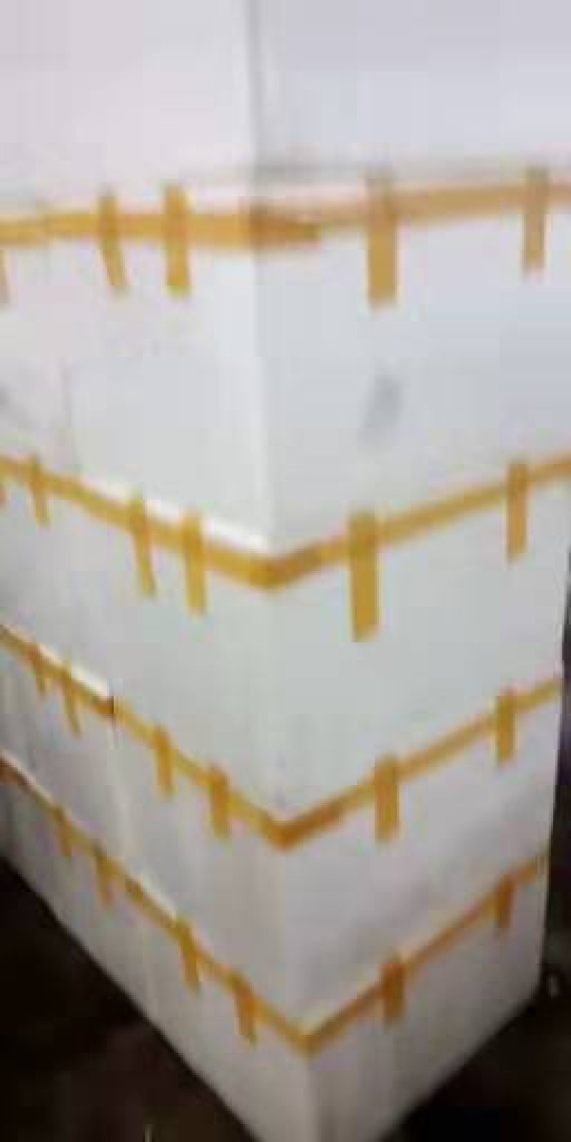 越南红毛丹