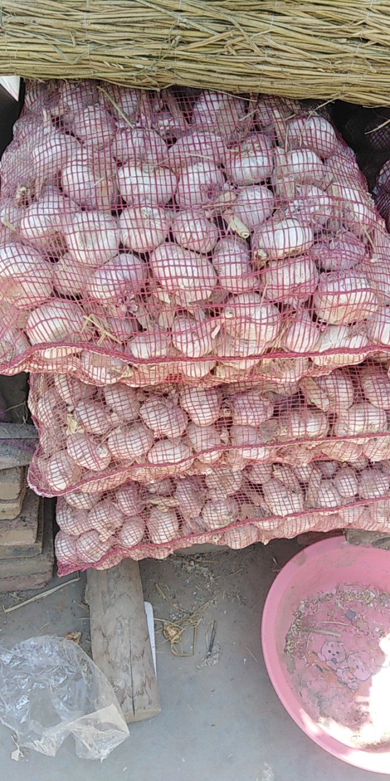 红皮大蒜