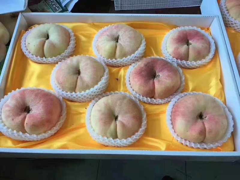 皇母玉露蟠桃