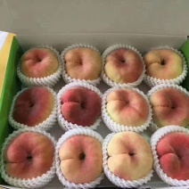 皇母玉露蟠桃