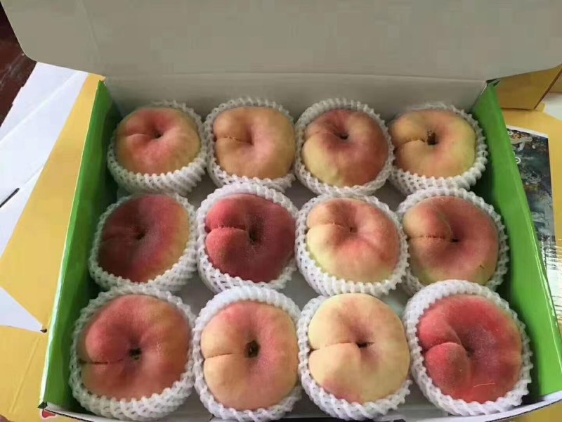 皇母玉露蟠桃