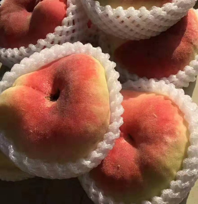 皇母玉露蟠桃