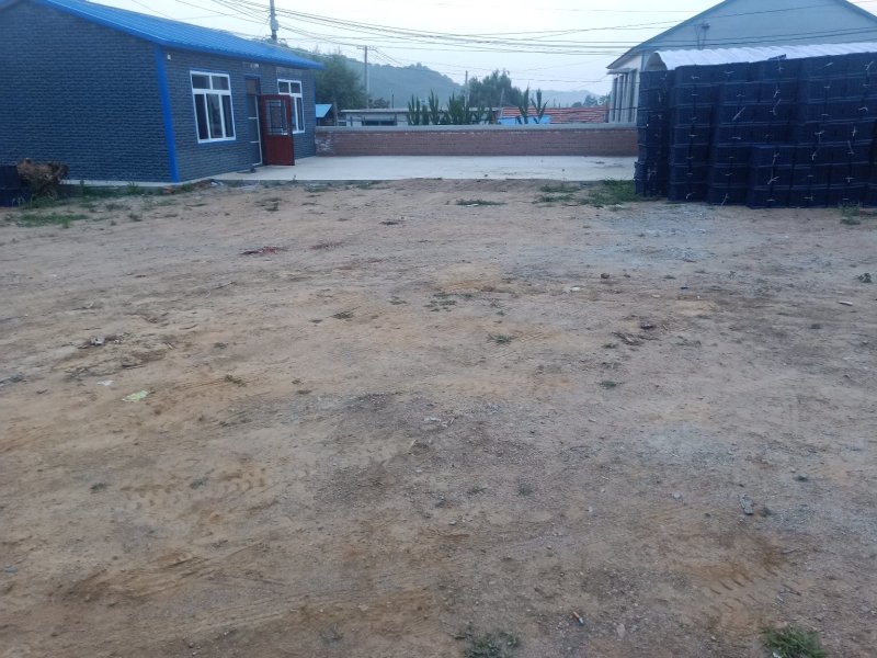 123苹果k9苹果代收大量供货
